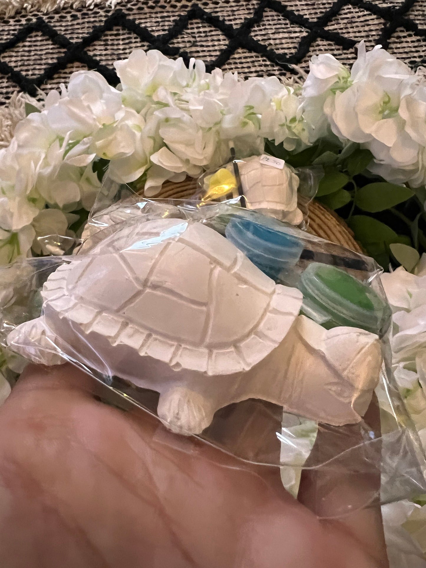 Paint your own plaster of Paris Turtle - Activity set - Room decoration - Childrens Gifts - Gift - Paintable - Painting - Party favour
