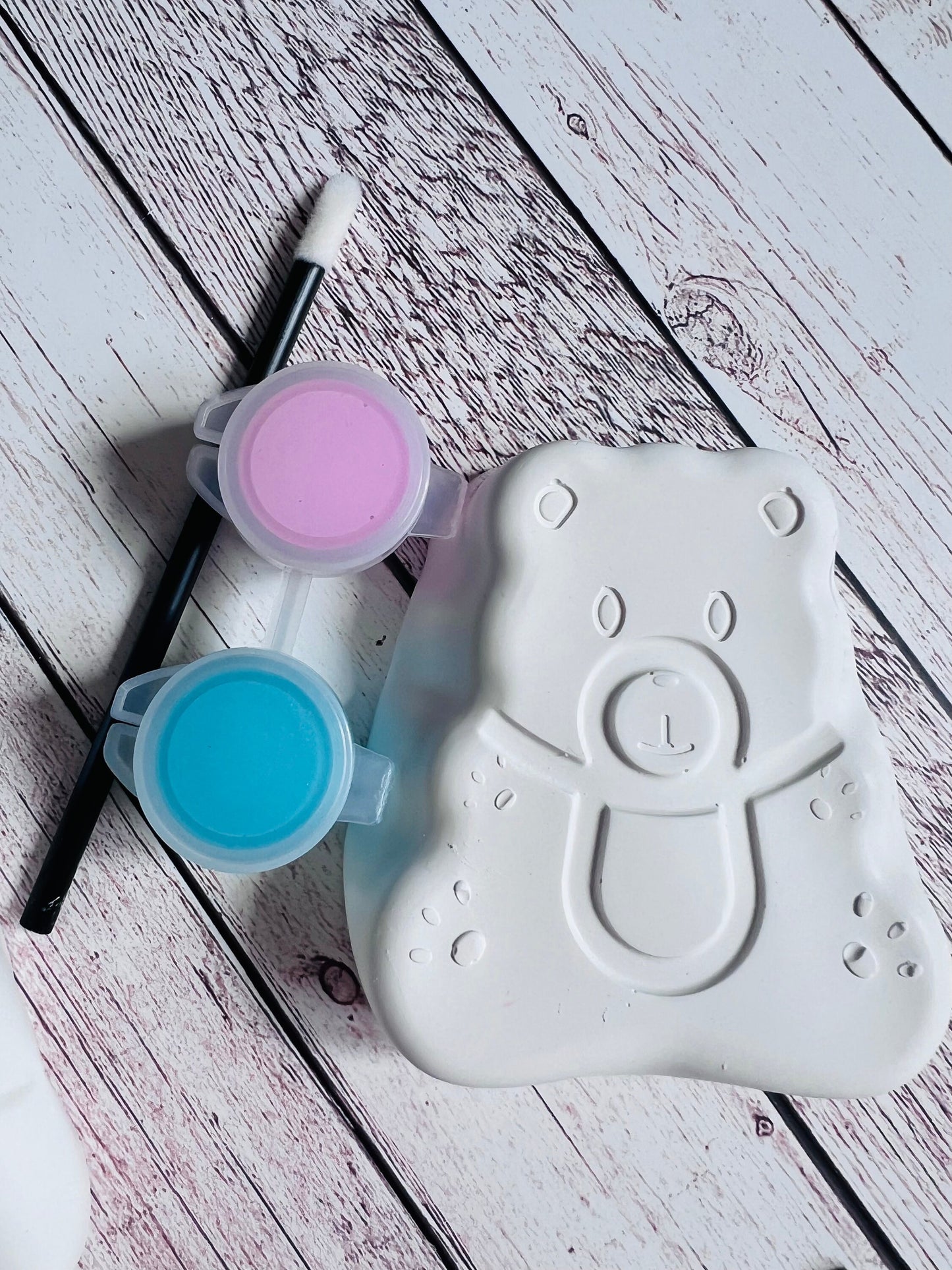 Paint your own plaster of Paris Gender reveal - Baby shower Idea - Baby shower game - Gender game - Activity set - Gift - Painting - Decor