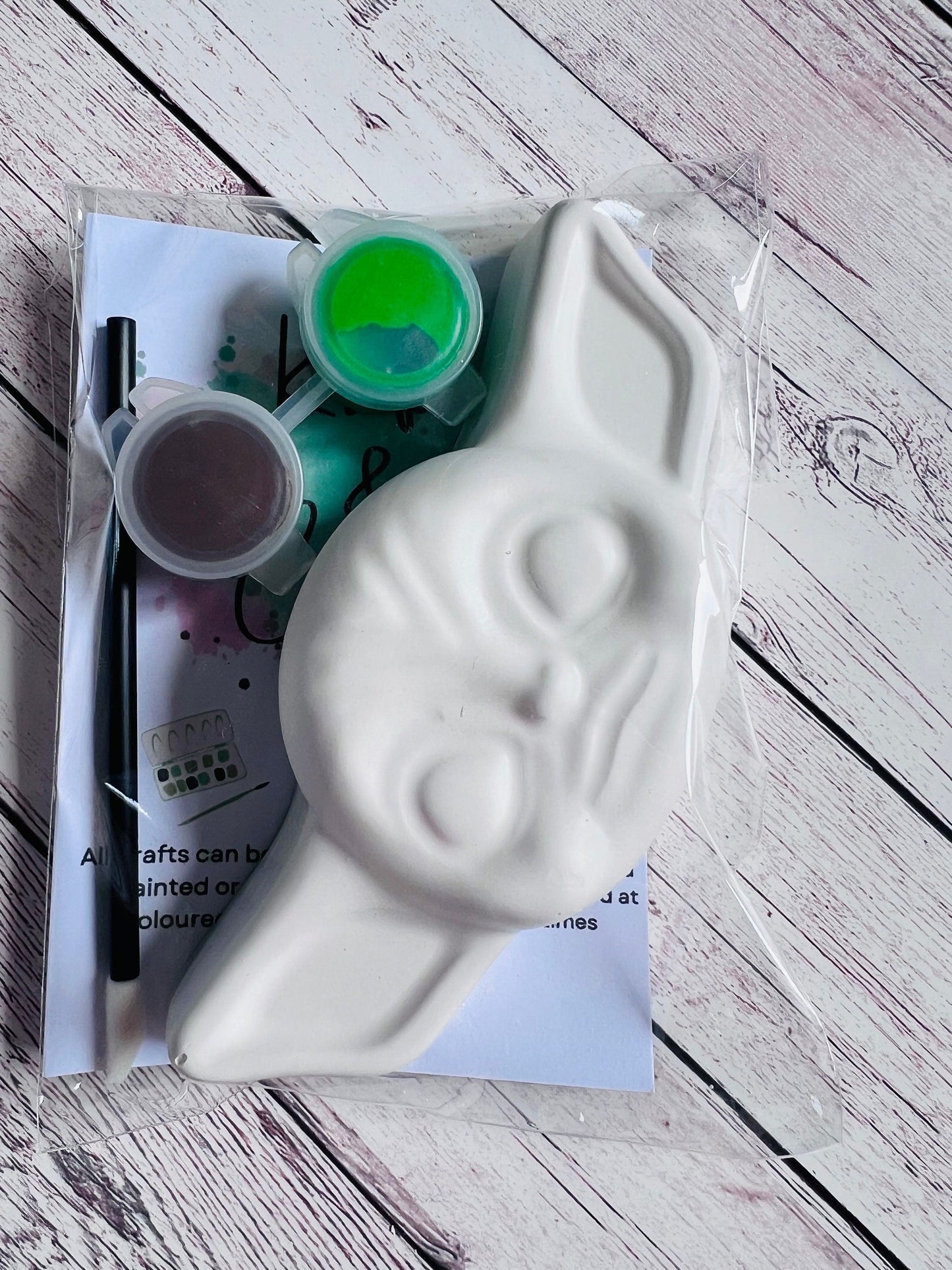 Paint your own plaster of Paris Star Wars YODA head - Activity set - Room decoration - Childrens Gifts - Gift - Painting - Party favour