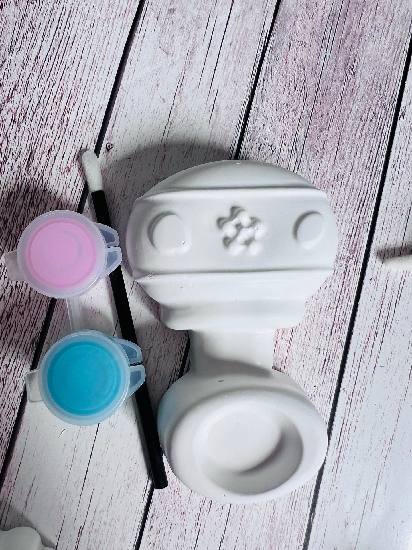 Paint your own plaster of Paris Gender reveal - Baby shower Idea - Baby shower game - Gender game - Activity set - Gift - Painting - Decor