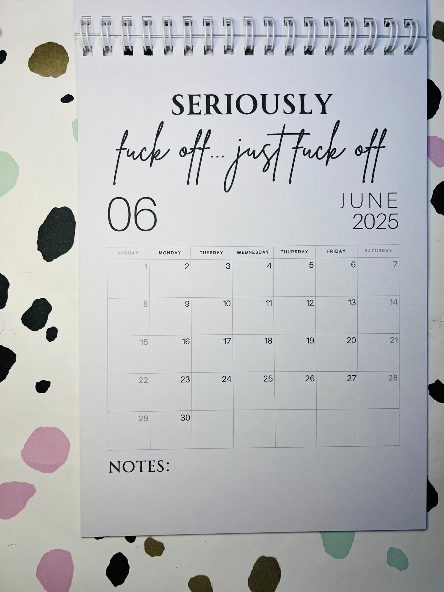 A5 F*ck it 2025 spiral bound wall calender - Get ready for the shit show - Organiser - Calender - Sweary affirmations -