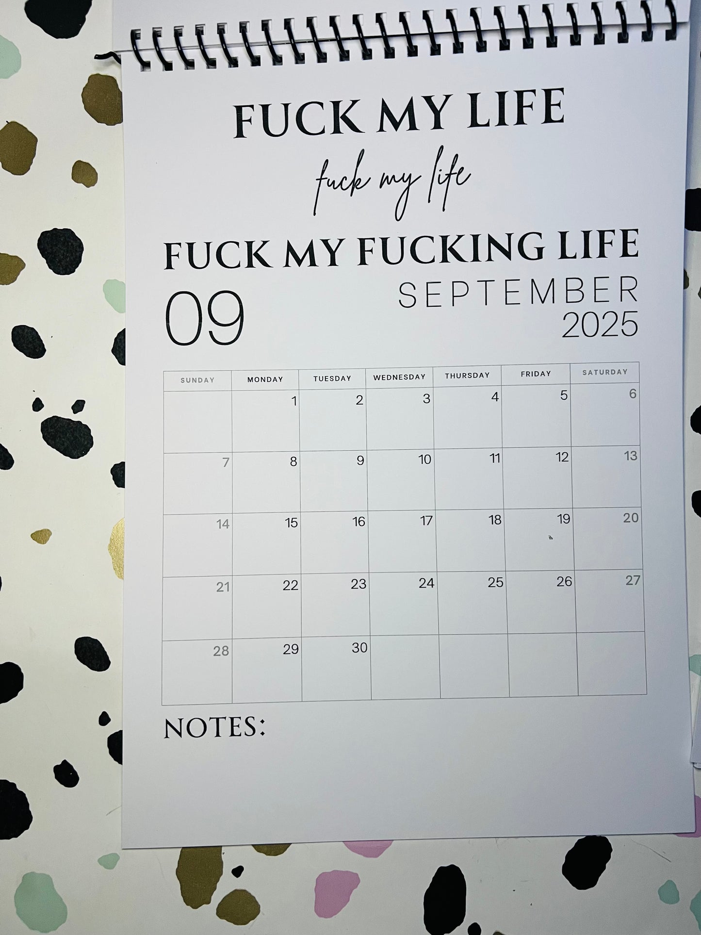 A4 F*ck it 2025 spiral bound wall calender - Get ready for the shit show - Organiser - Calender - Sweary affirmations -