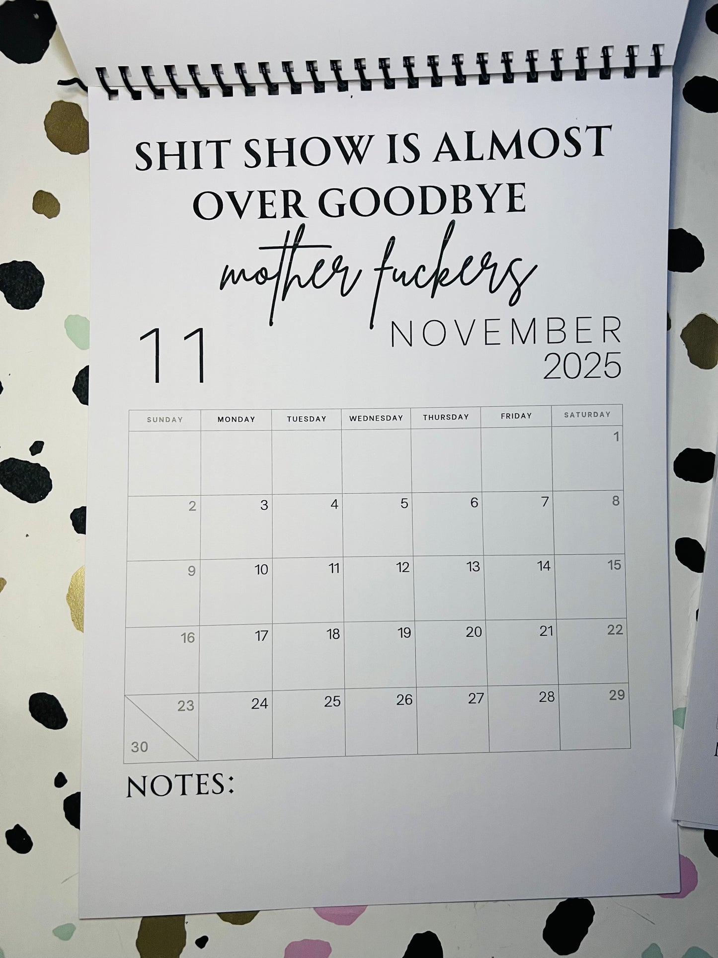 A4 F*ck it 2025 spiral bound wall calender - Get ready for the shit show - Organiser - Calender - Sweary affirmations -